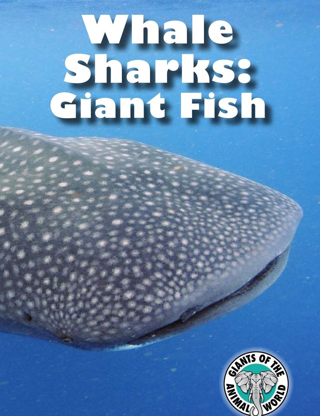 Whale Sharks: Giant Fish