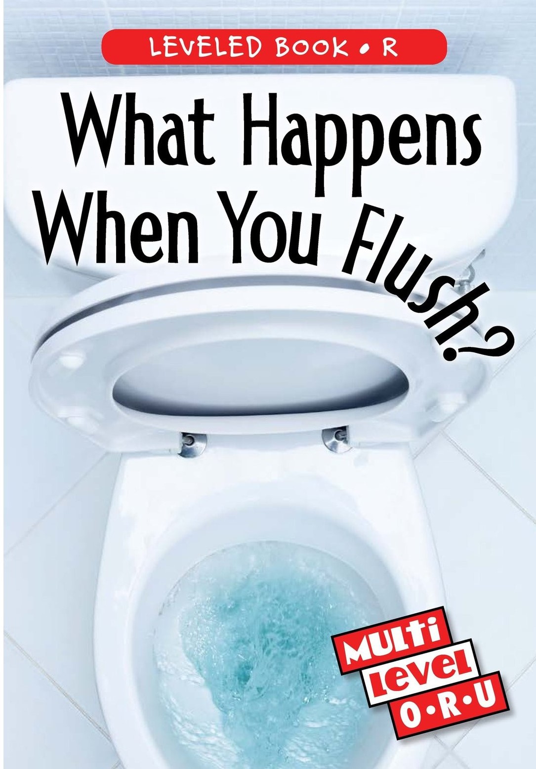 What Happens When You Flush