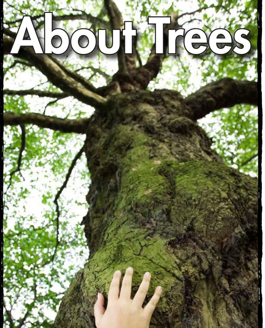 About Trees