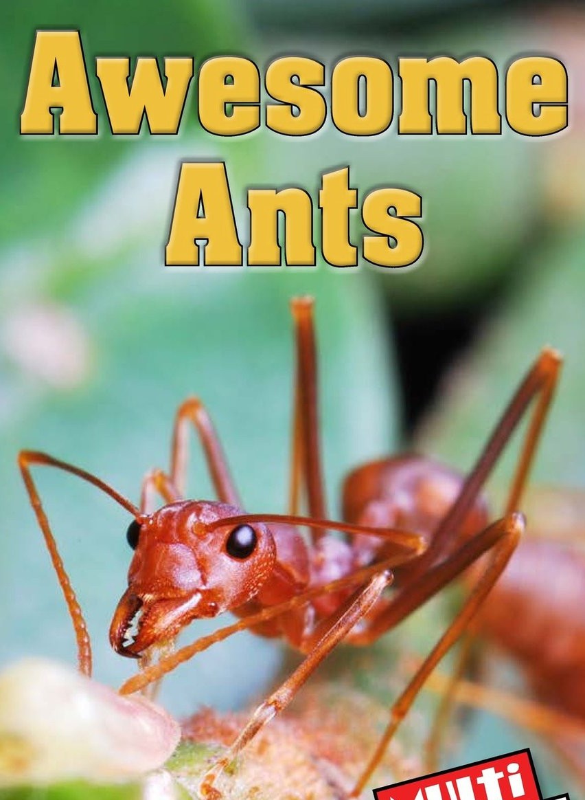 Awesome Ants