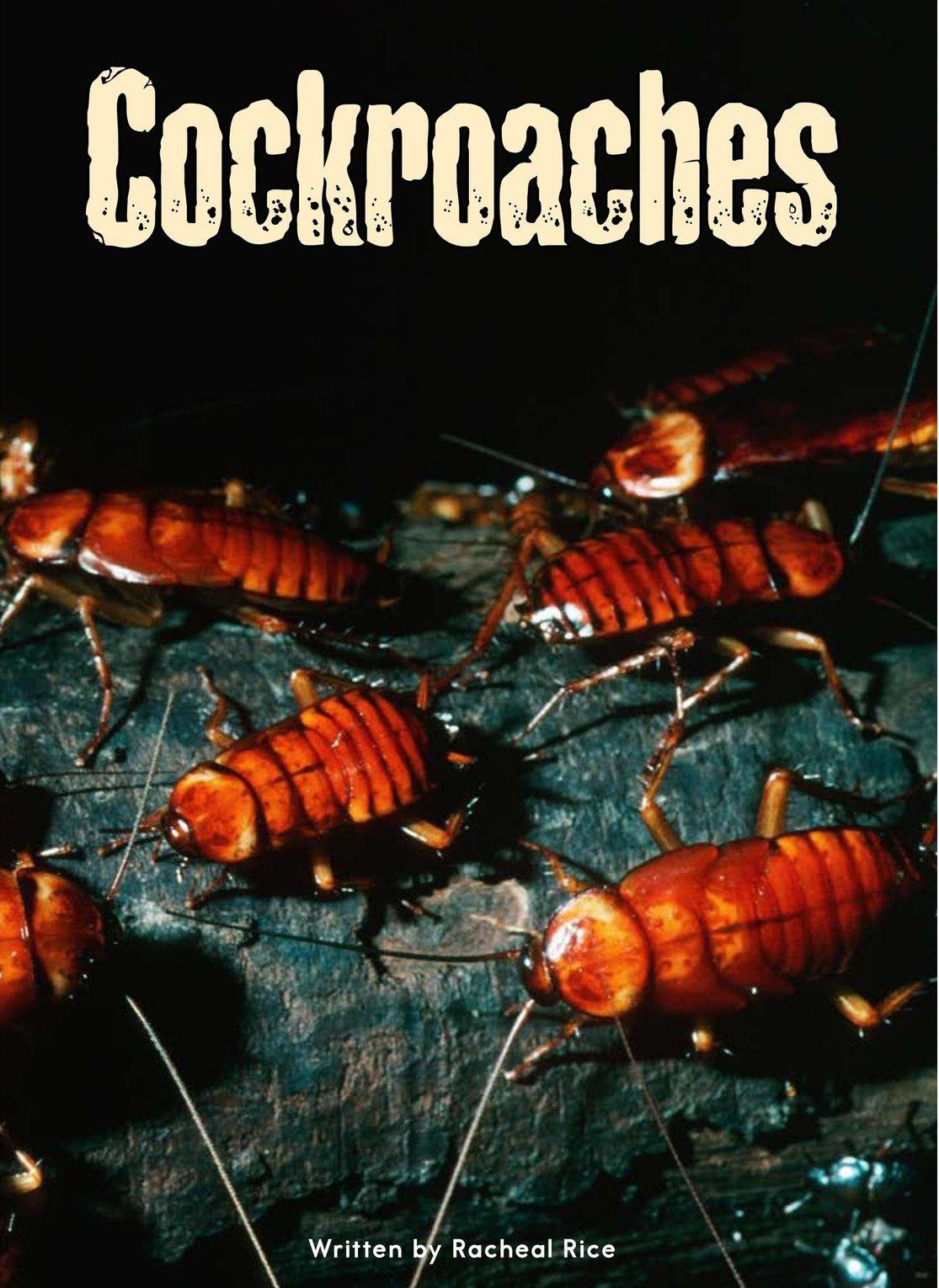Cockroaches