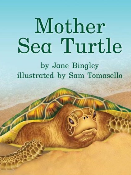 Mother Sea Turtle