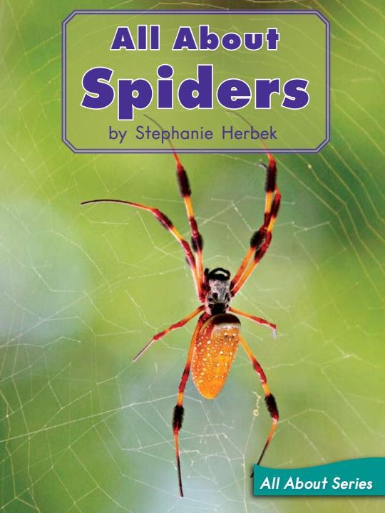 All About Spiders