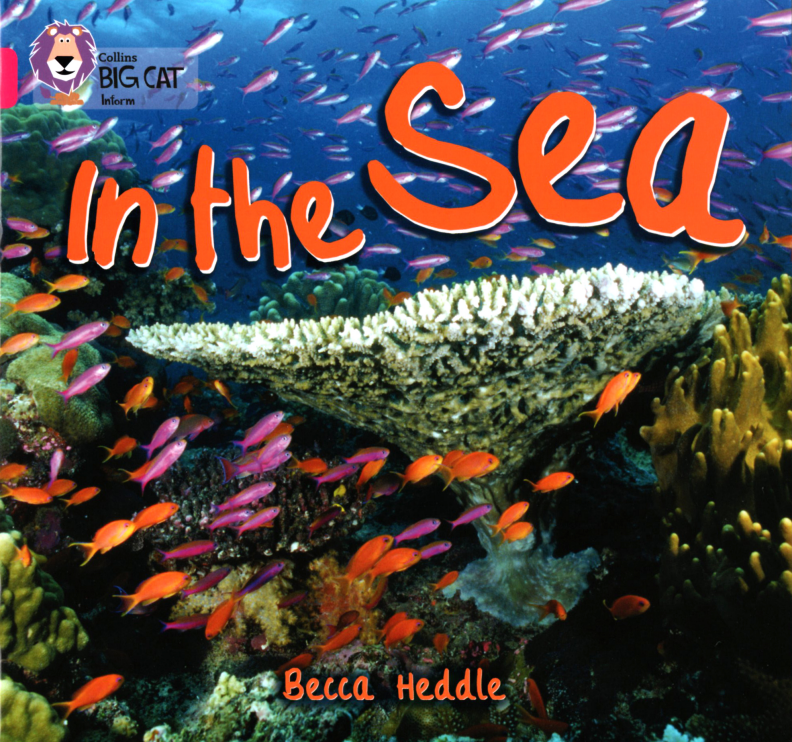 In the Sea