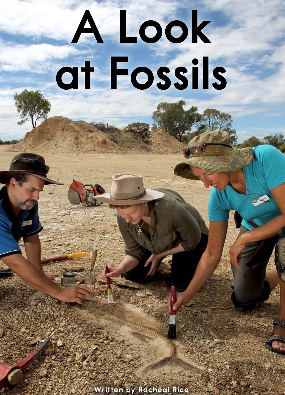 A Look at Fossils