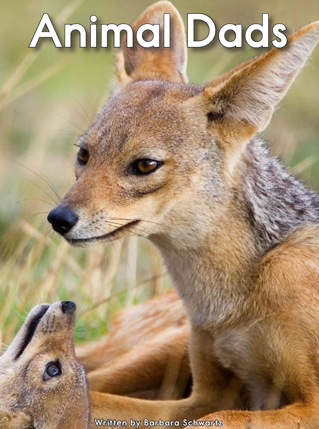 Animal Dads