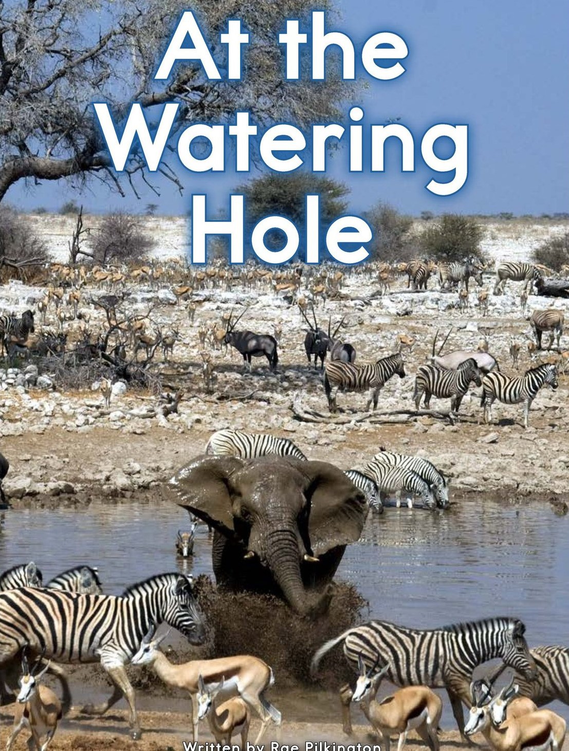 At the Watering Hole