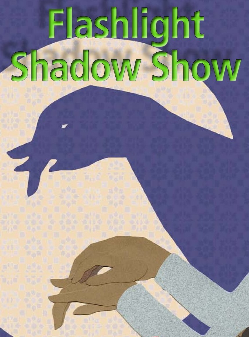Flashlight Shadow Show