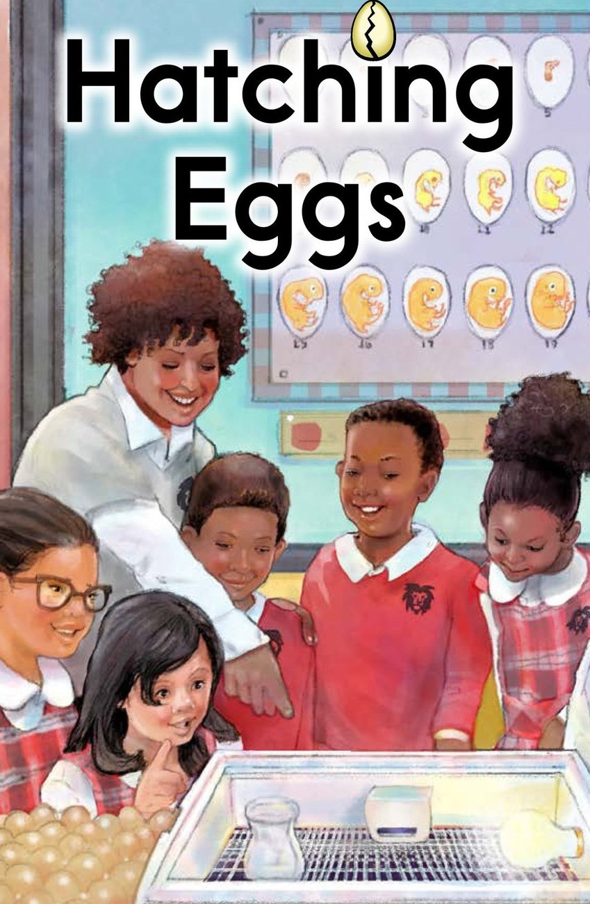 Hatching Eggs