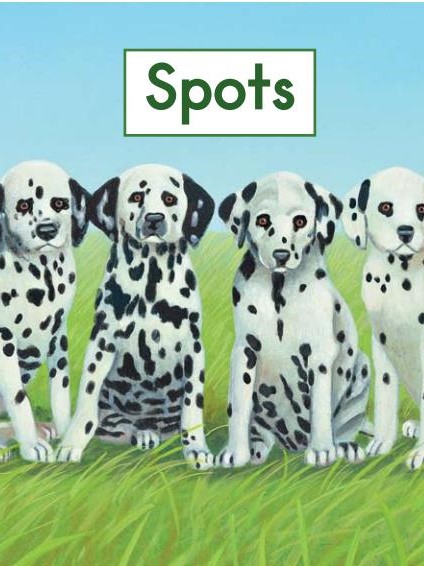 Spots
