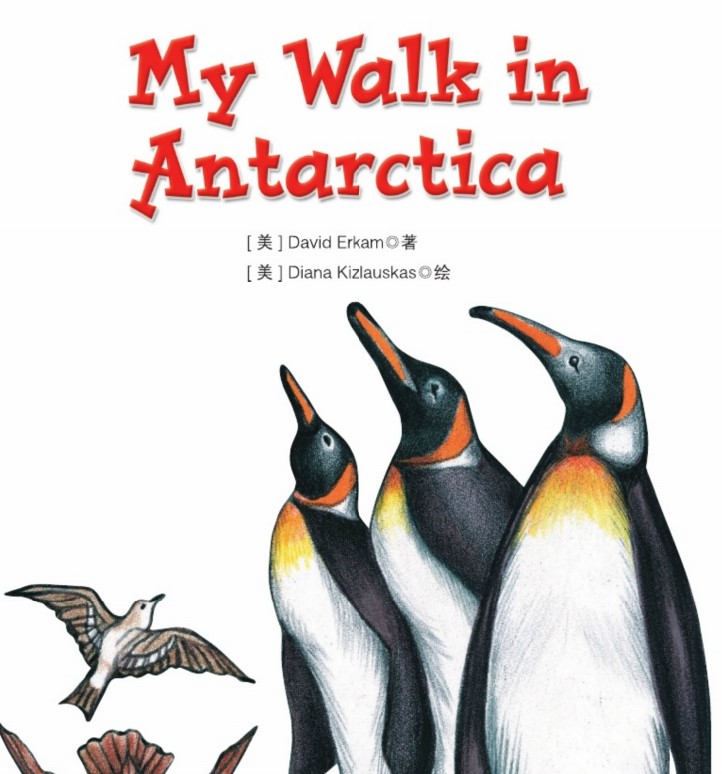 My Walk in Antarctica