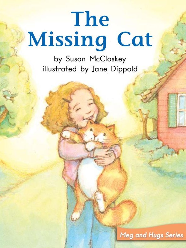 The Missing Cat