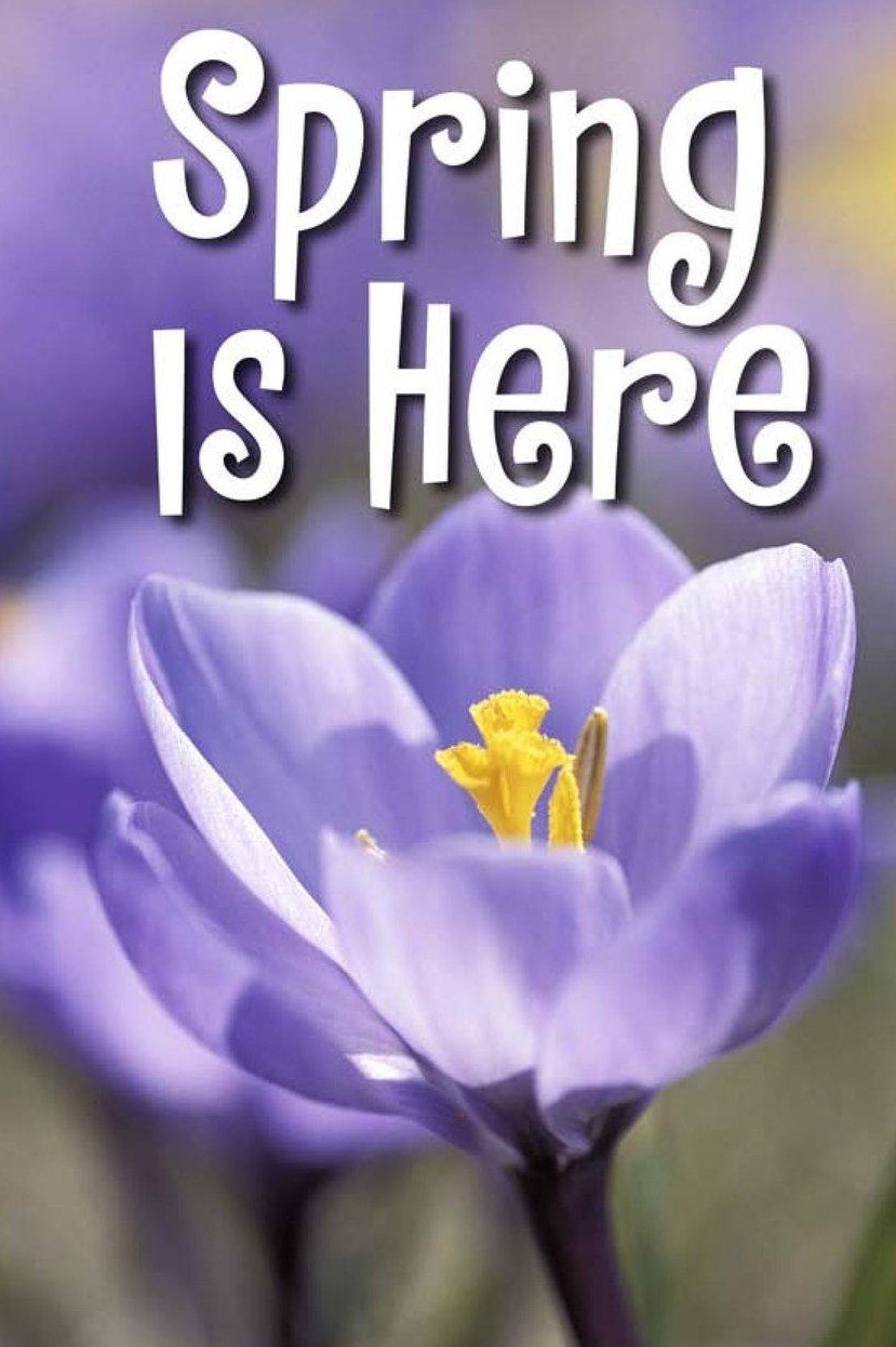Spring Is Here