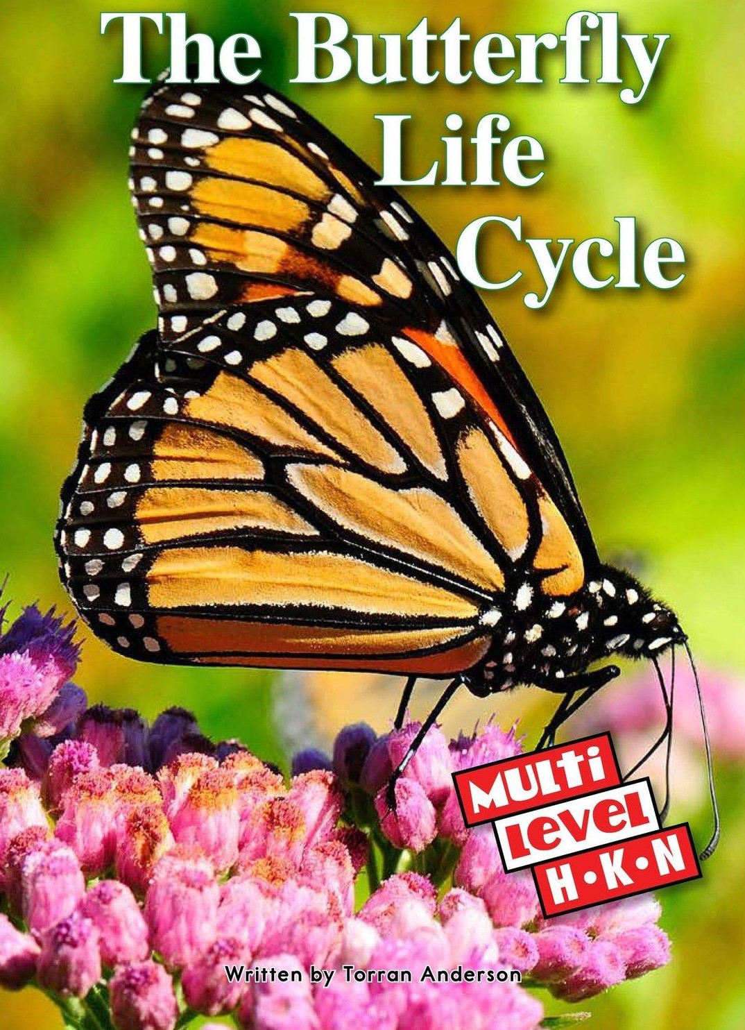The Butterfly Life Cycle