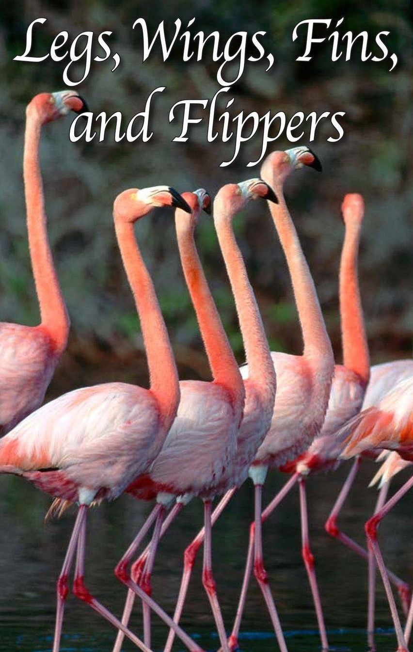 Legs, Wings, Fins, and Flippers