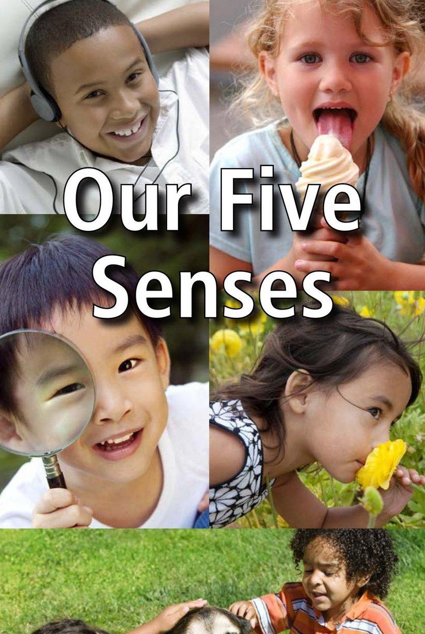 Our Five Senses