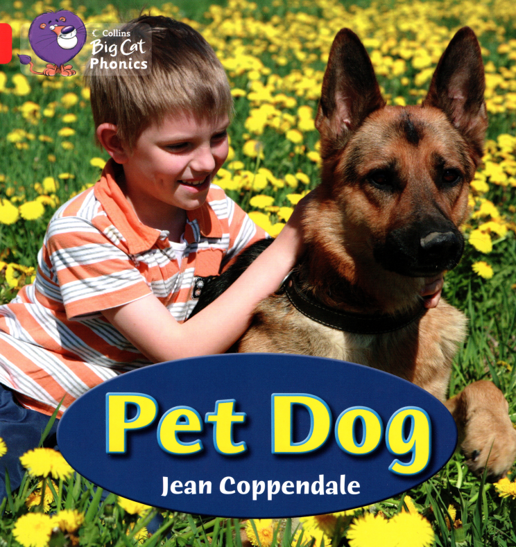 Pet Dog