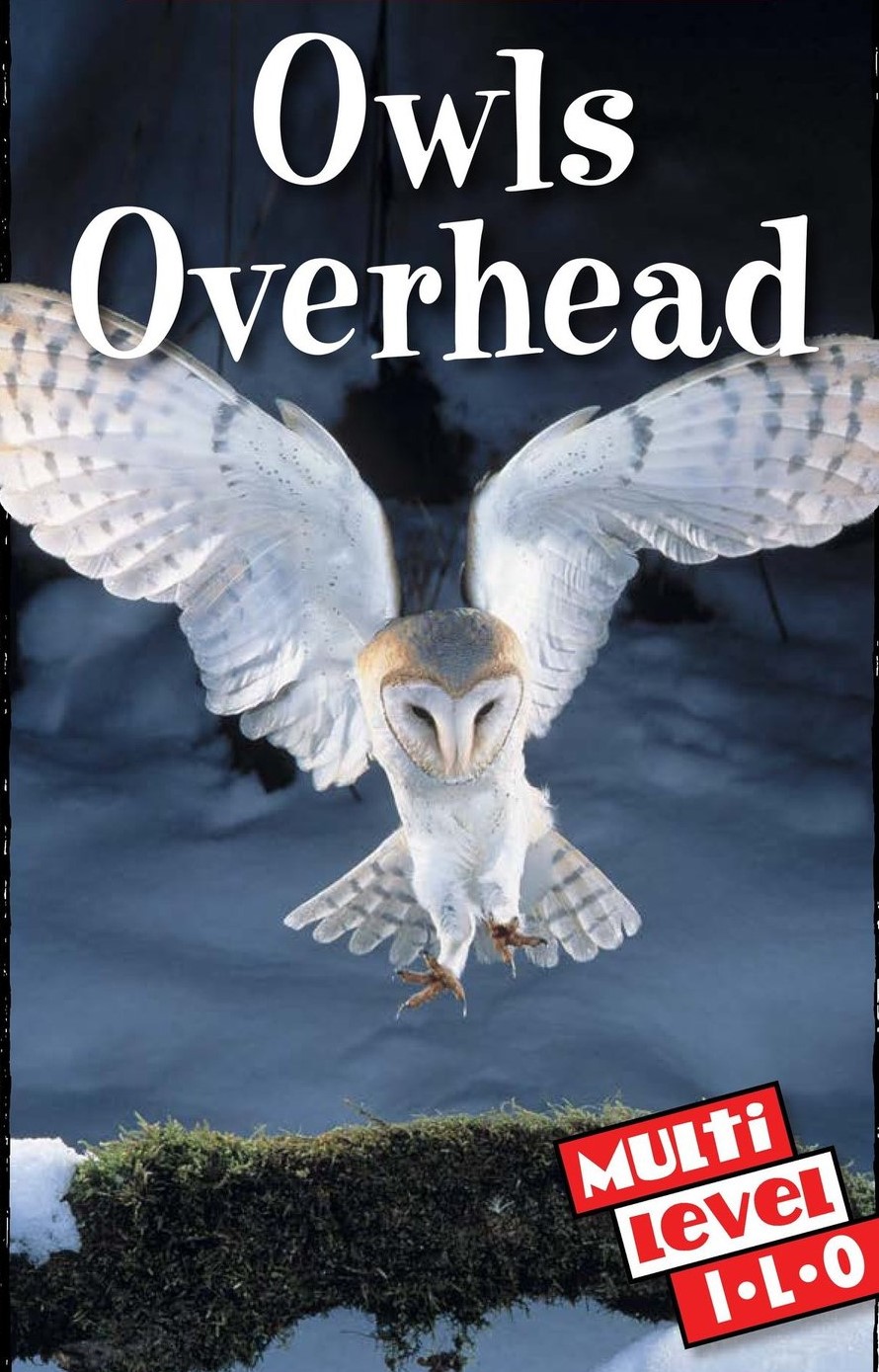 Owls Overhead