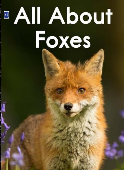 All About Foxes