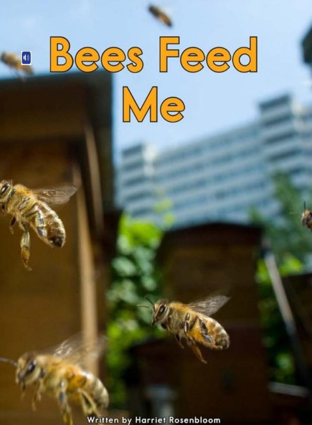 Bees Feed Me