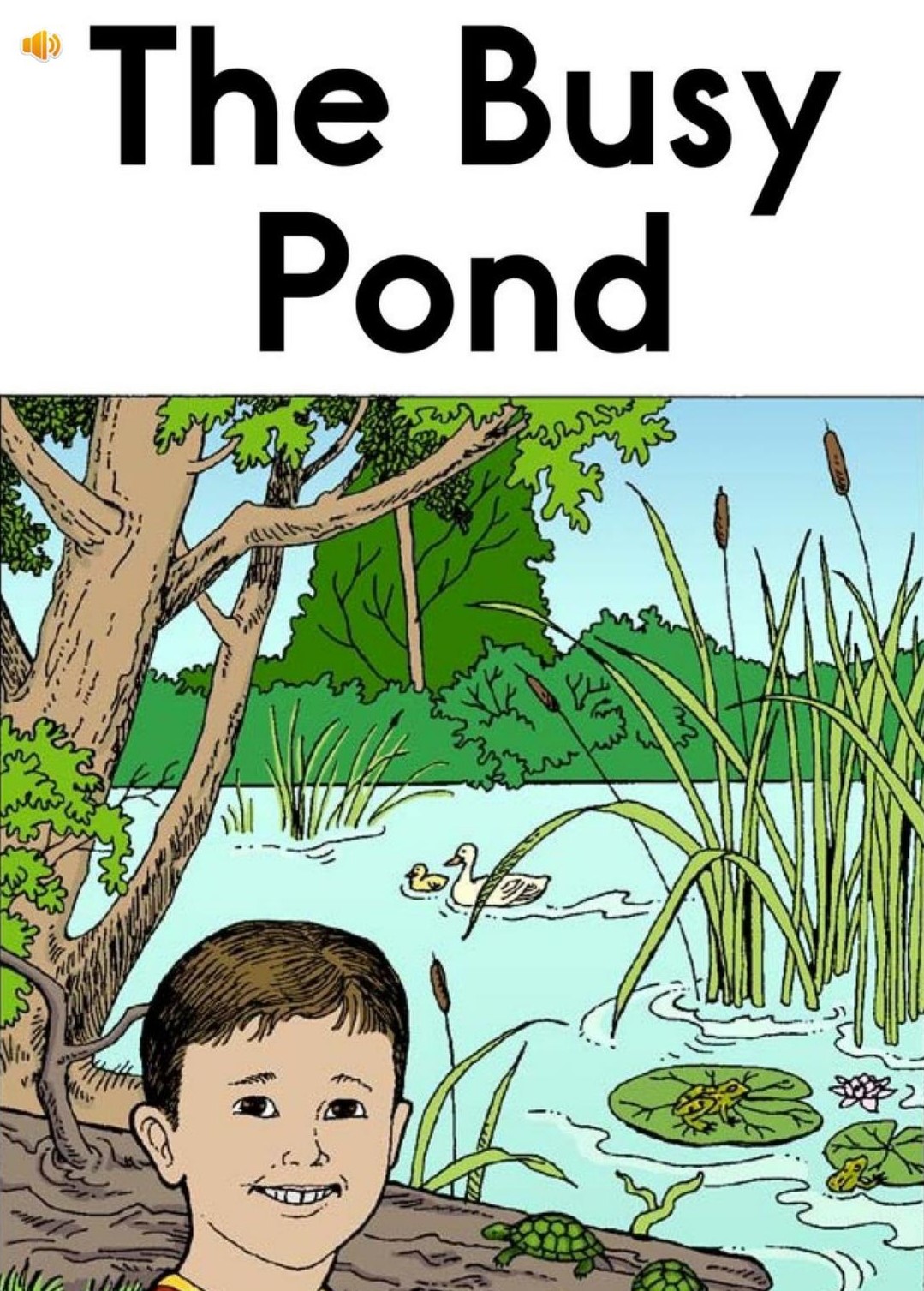 The Busy Pond