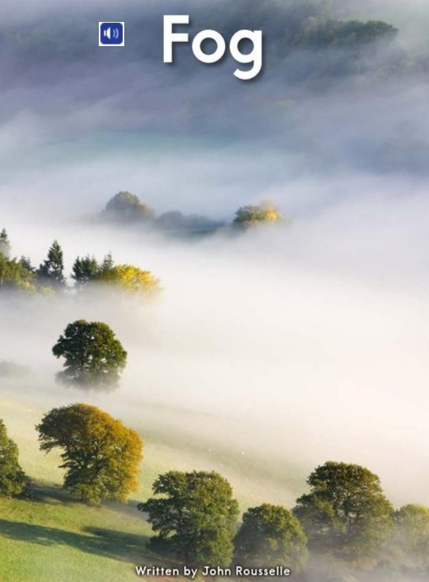 Fog