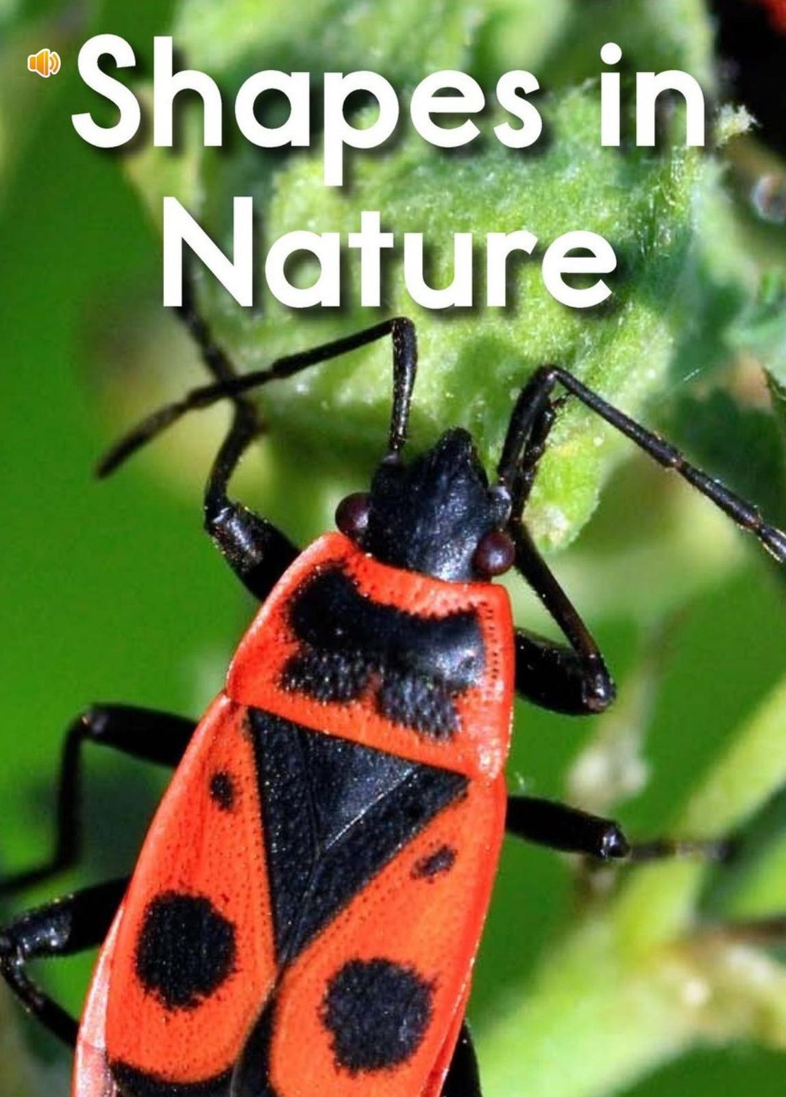 Shapes in Nature