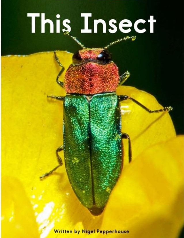 This insect