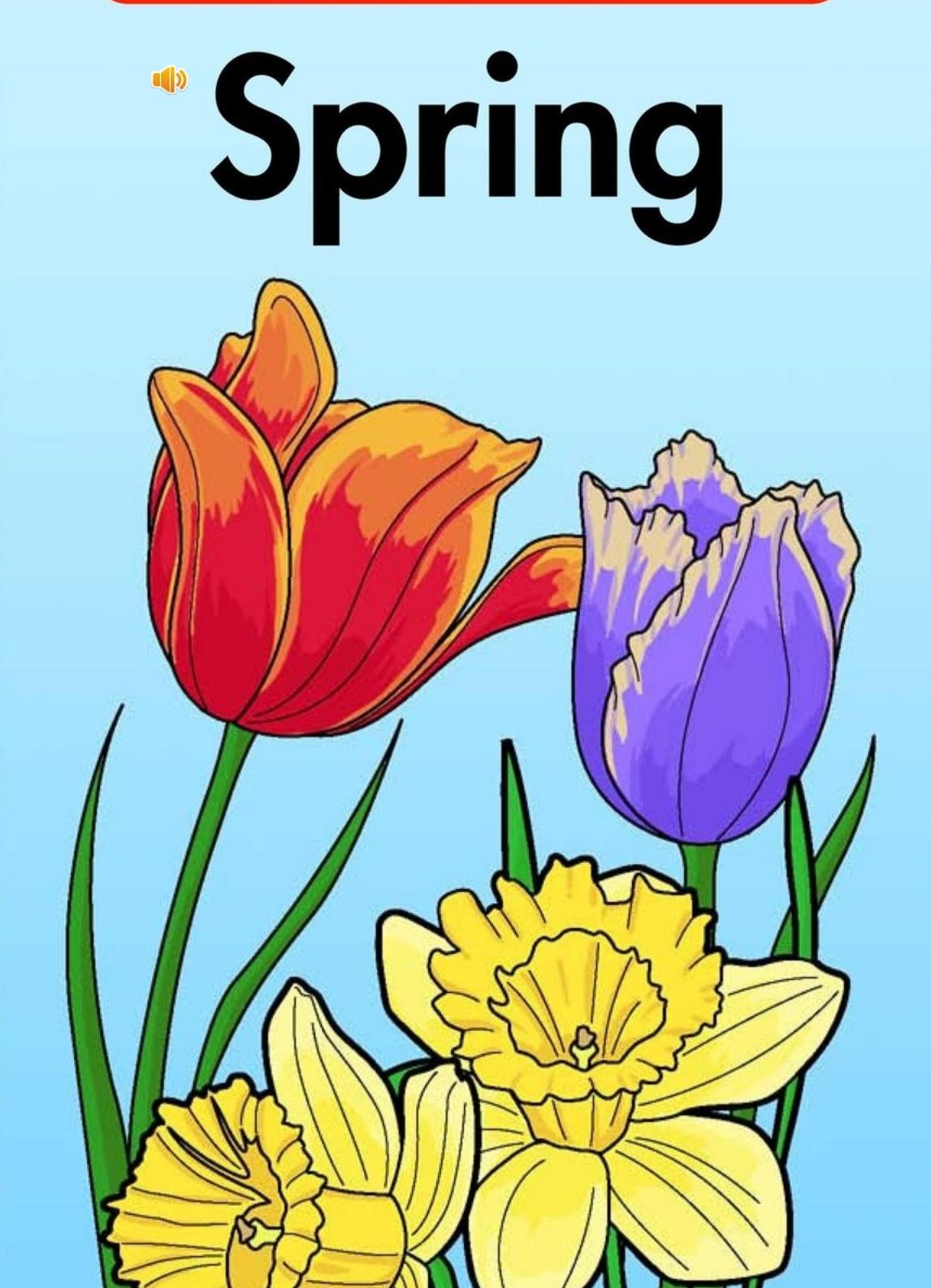 Spring