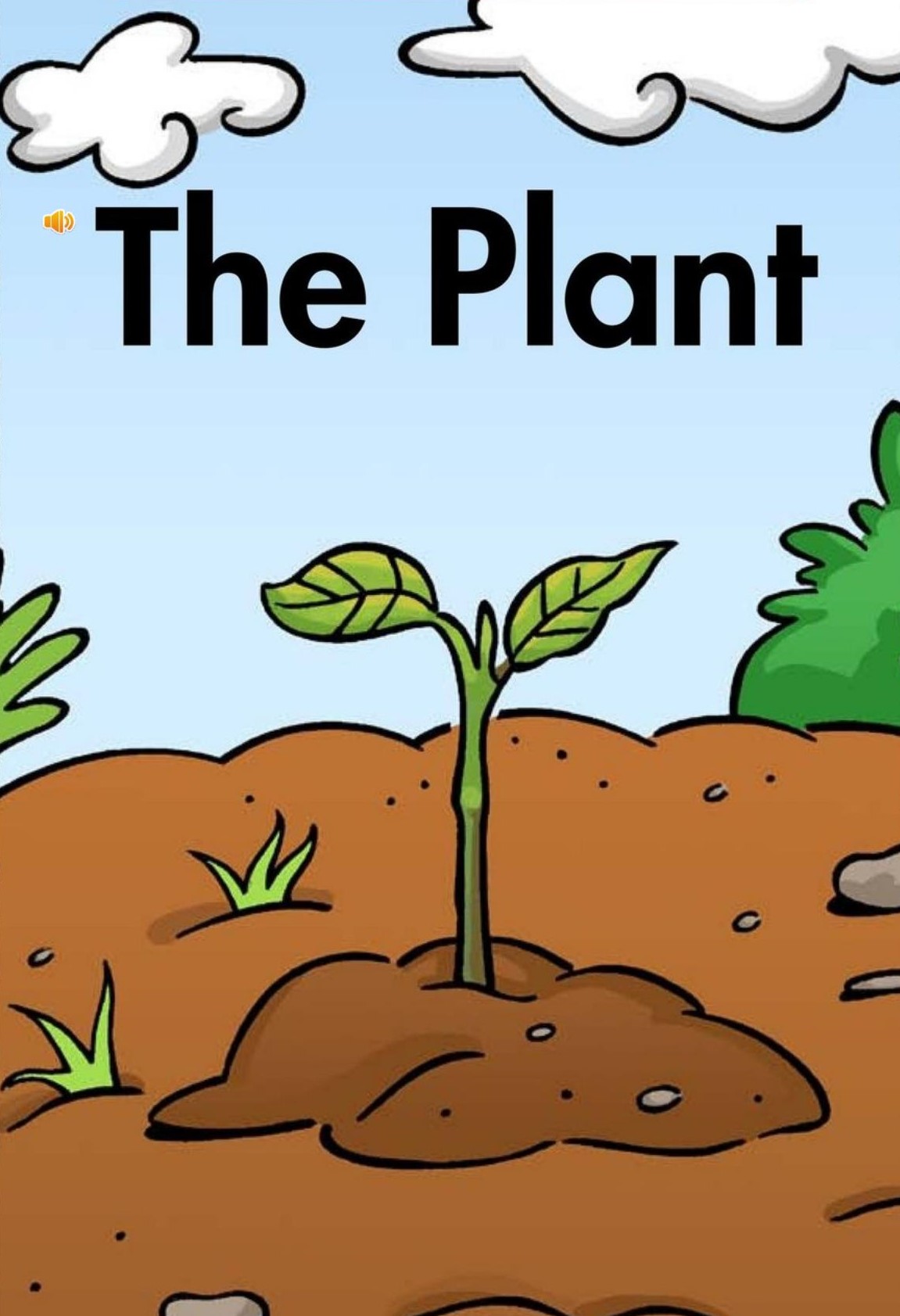 The plant