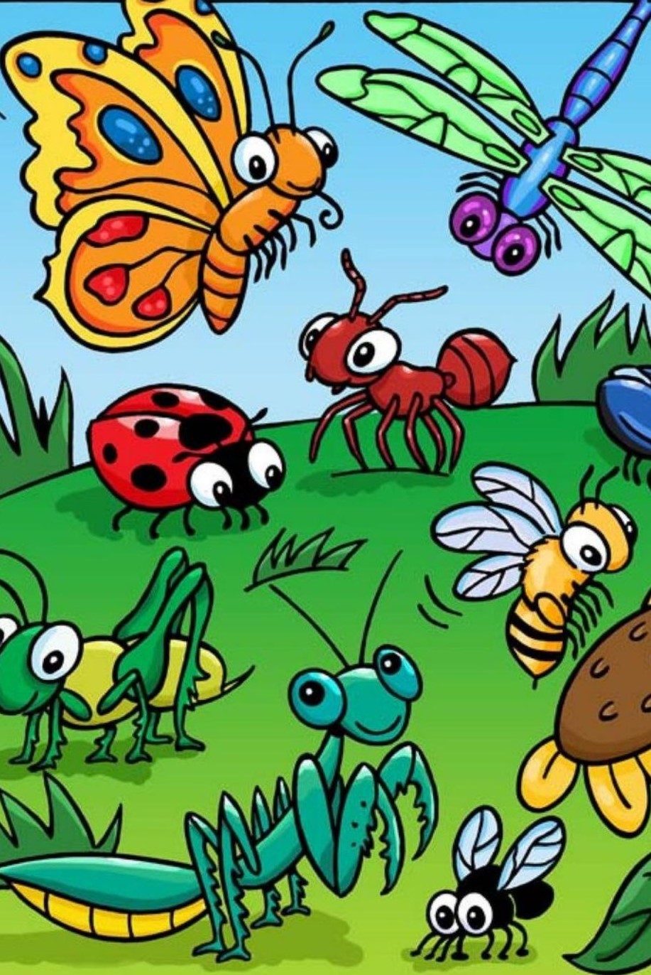 One Insect