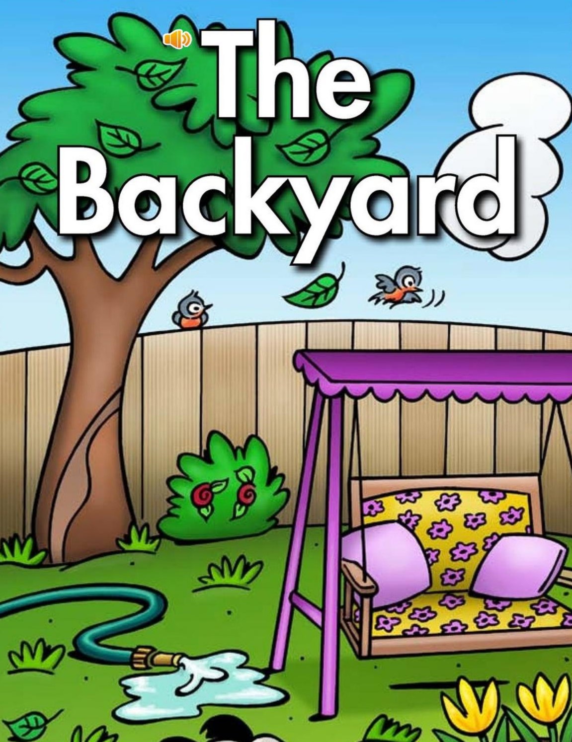 The backyard