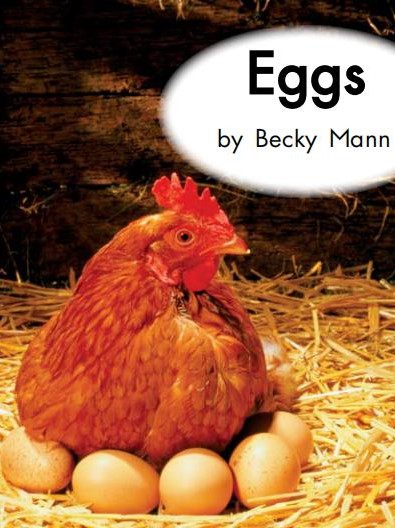 Eggs