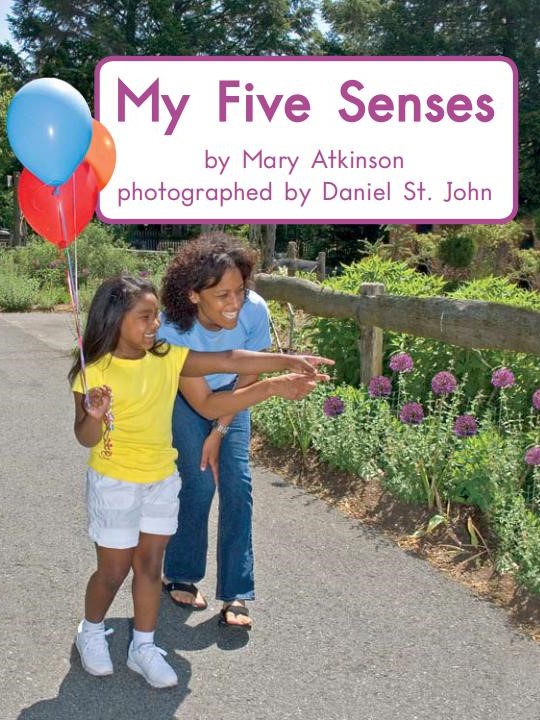My five senses