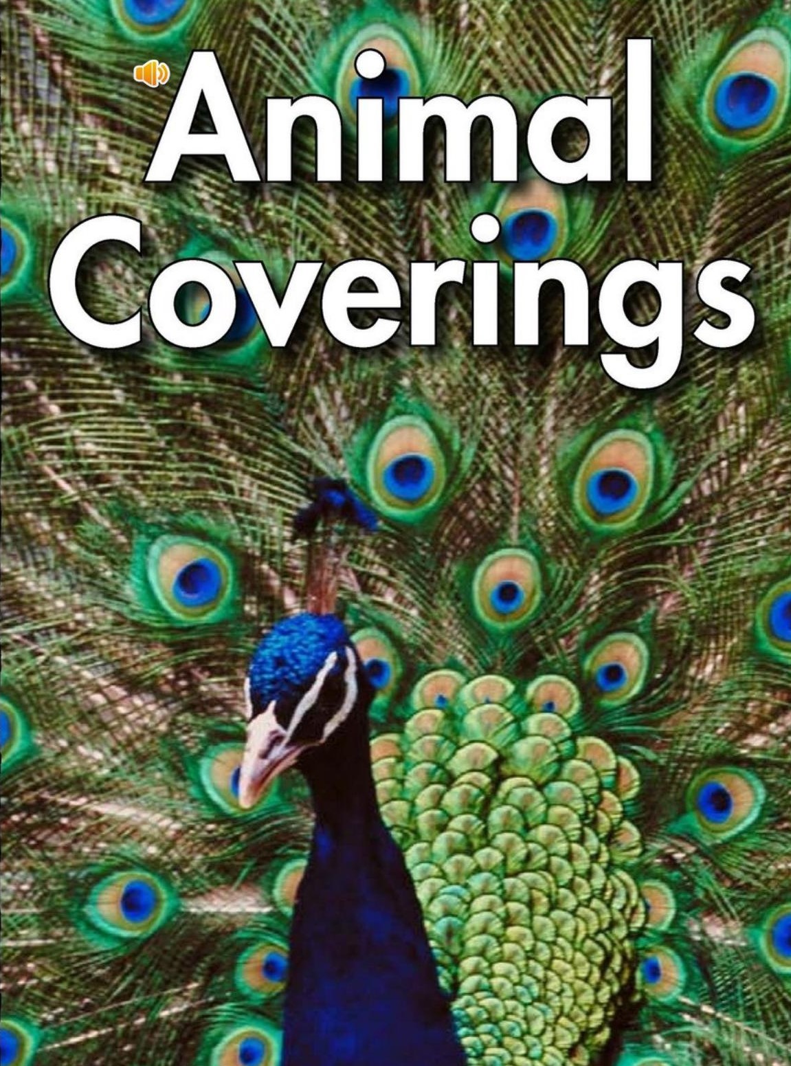 Animal coverings