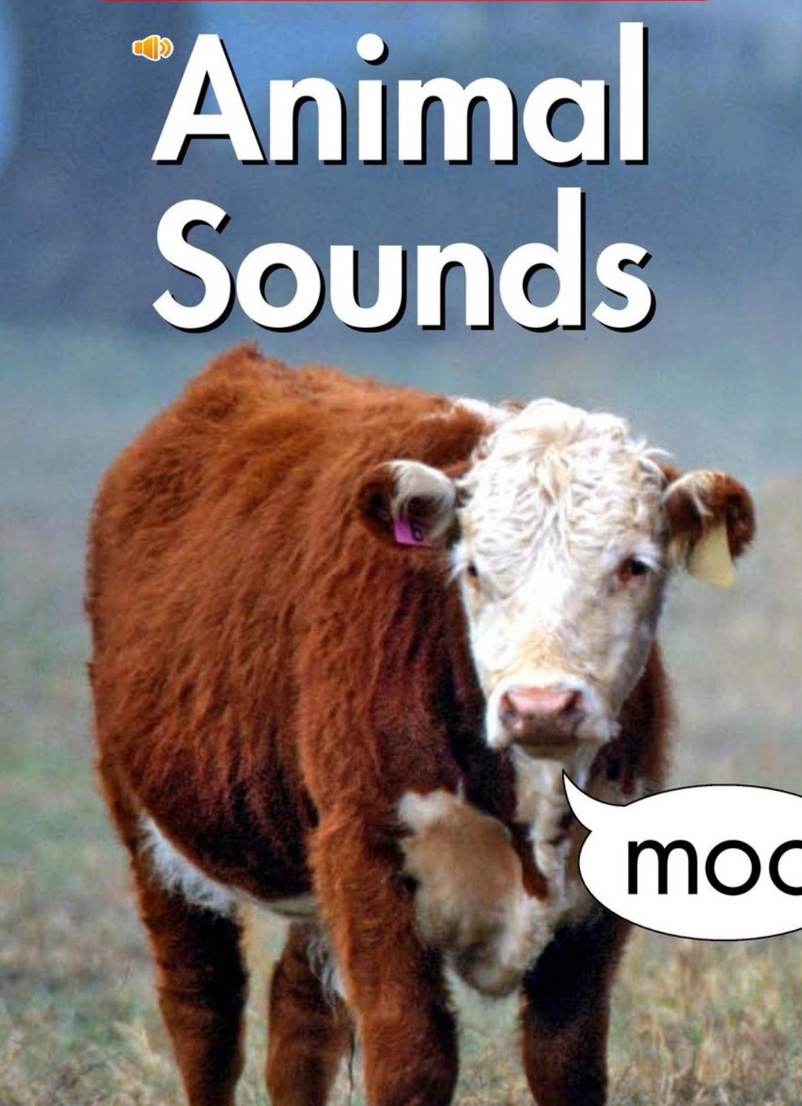 Animal sounds