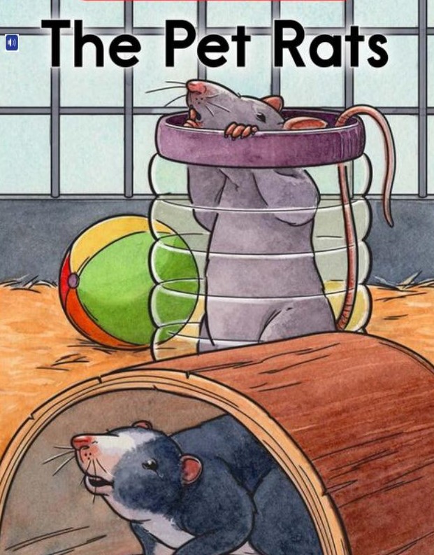 The pet rats