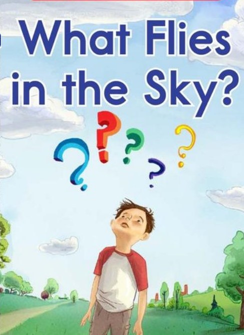 What flies in the sky?