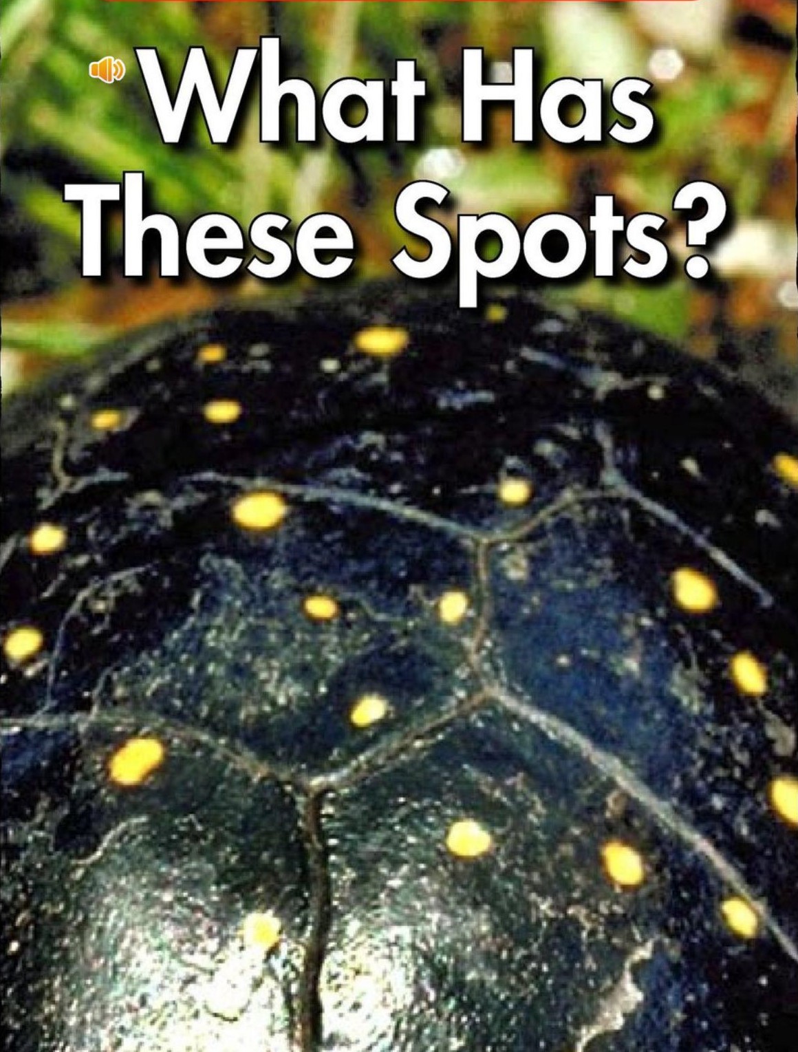 What has these spots?