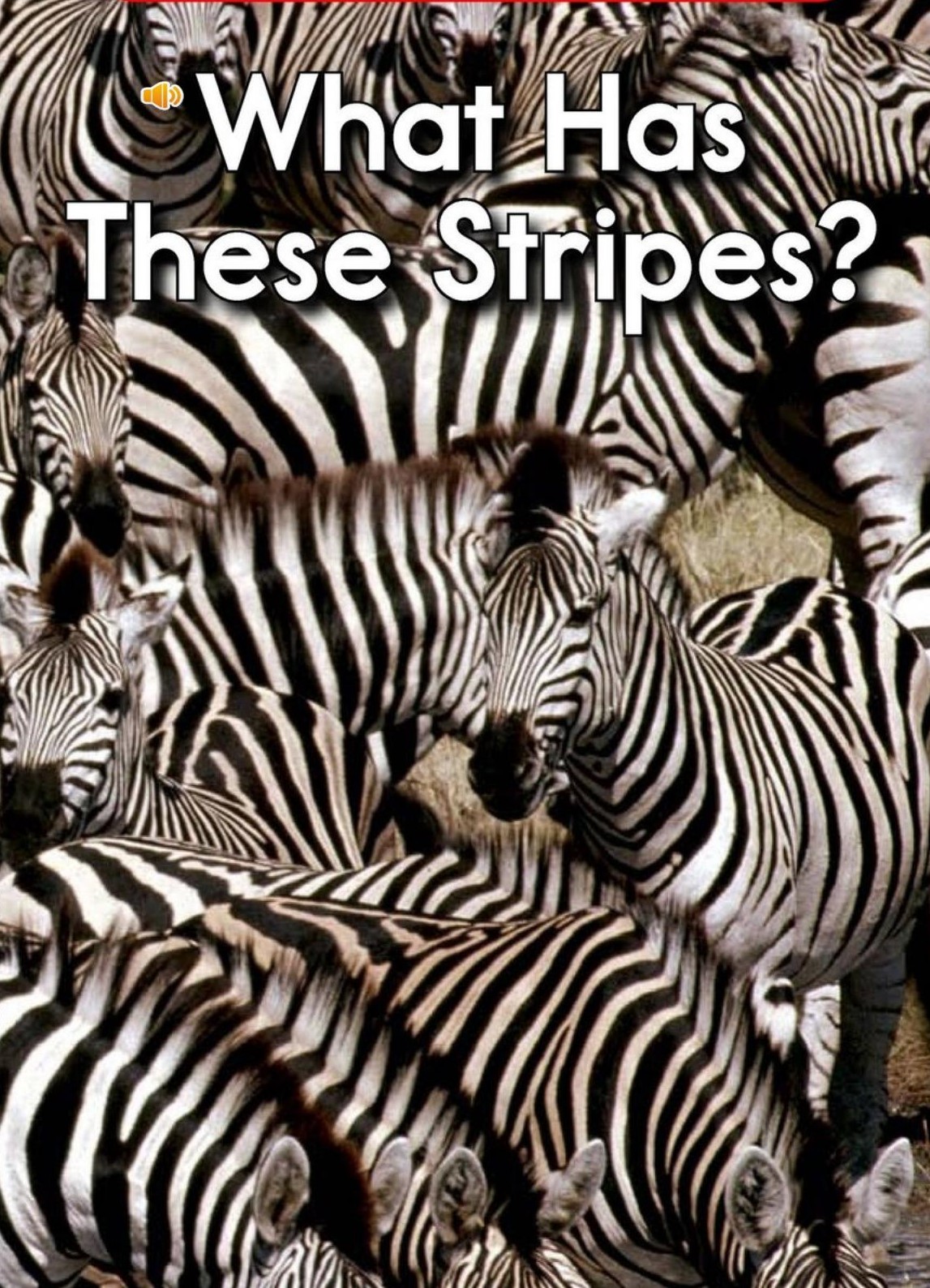 What has these stripes?