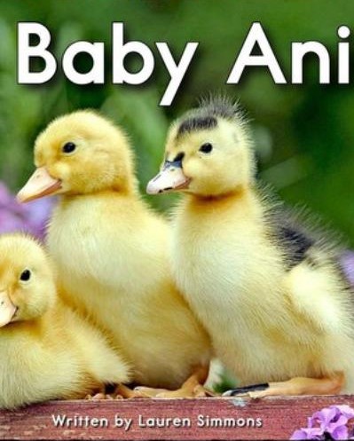 More Baby Animals