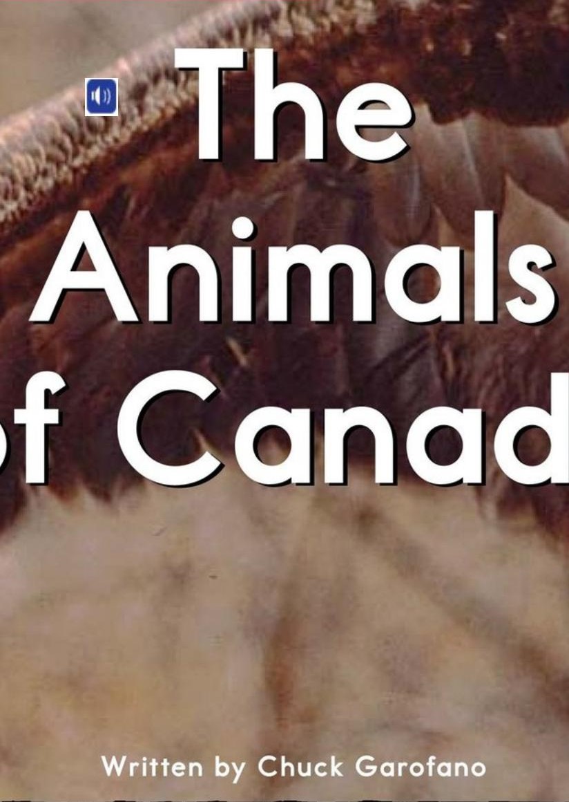 The Animals of Canada