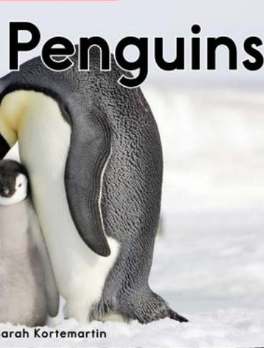 All About Penguins