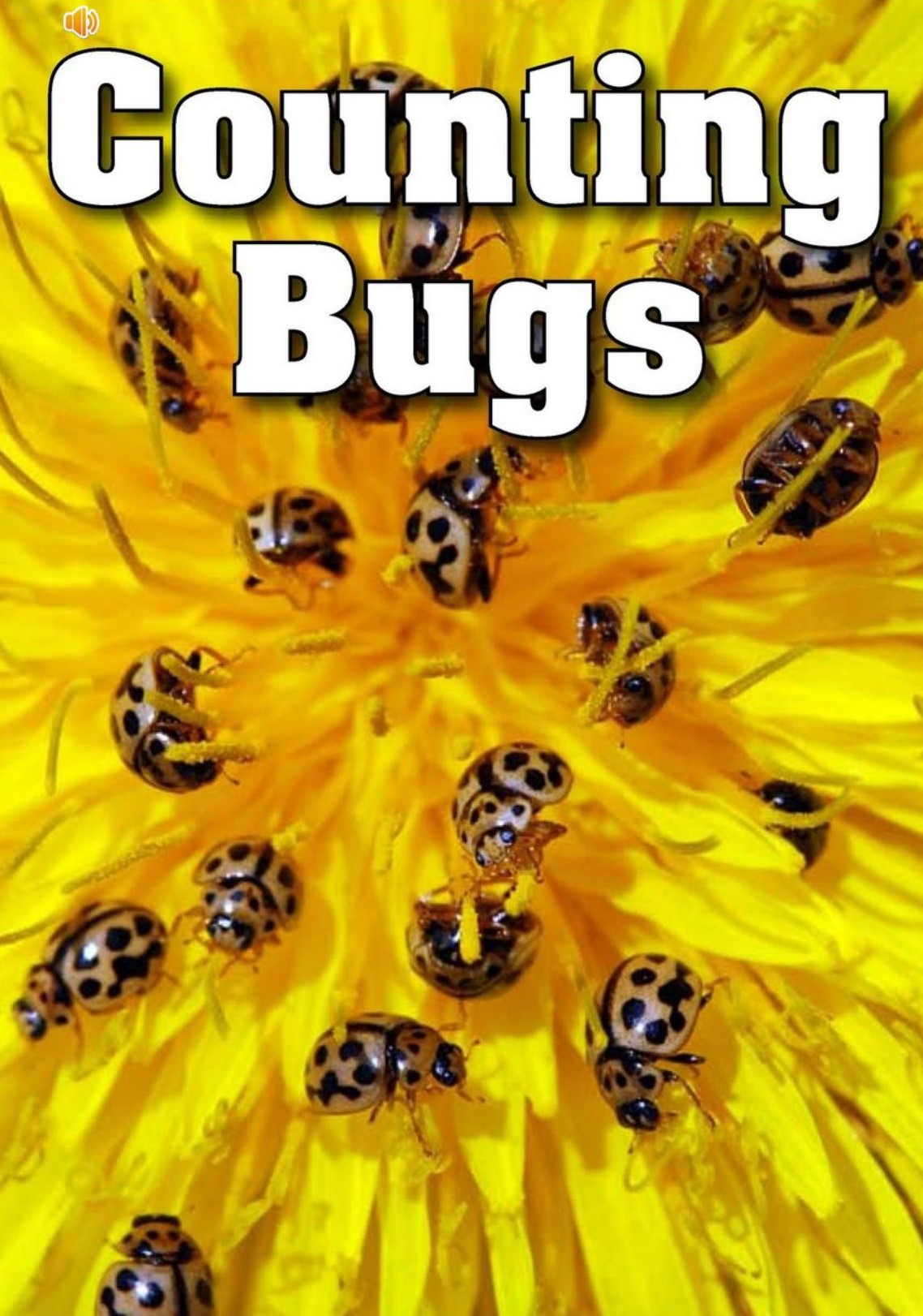 Counting Bugs