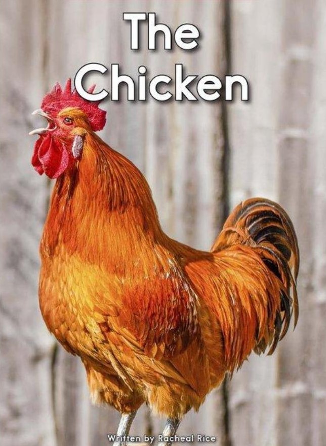 The Chicken
