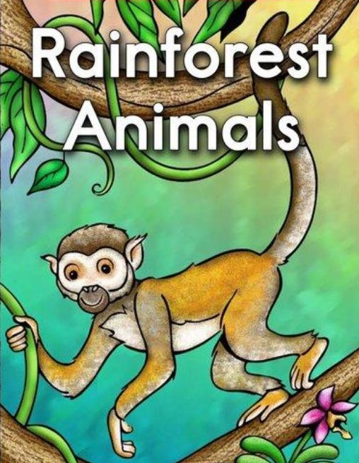 Rainforest Animals