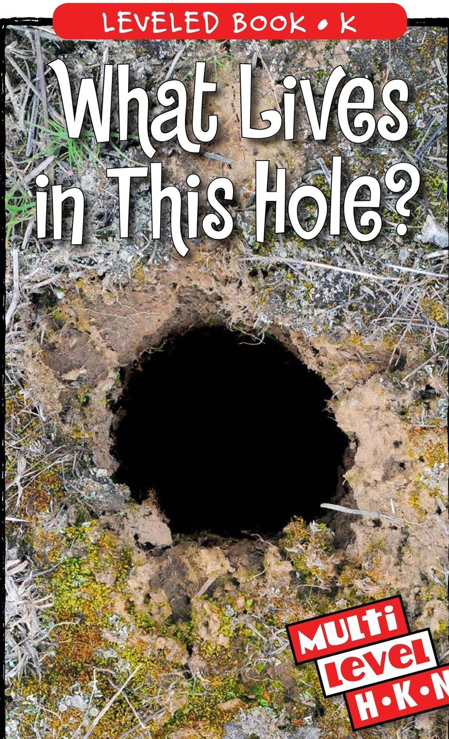 What Lives in This Hole