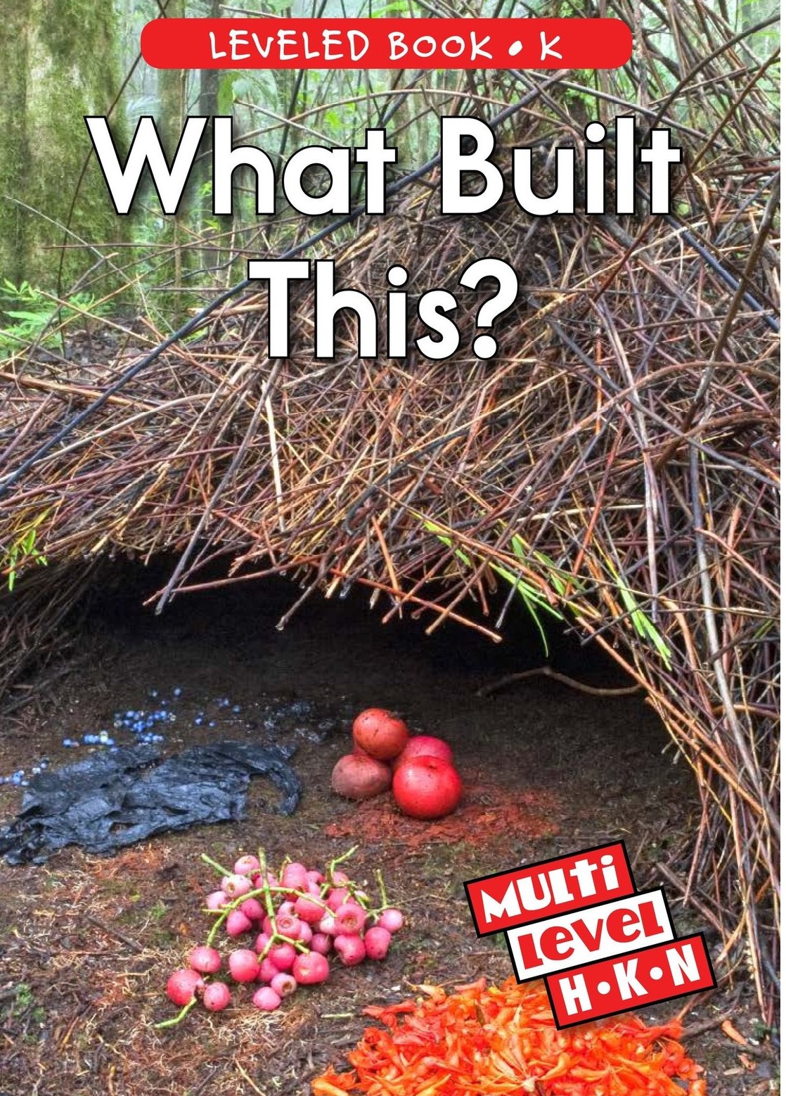 What Built This?