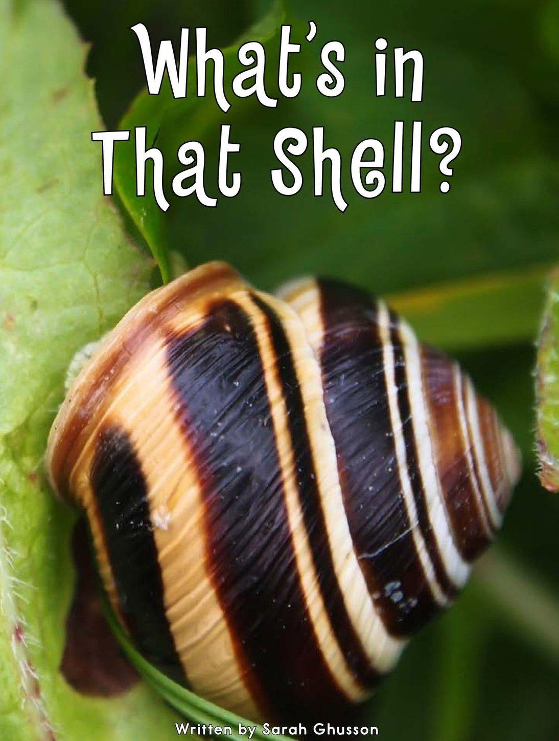 What's In That Shell