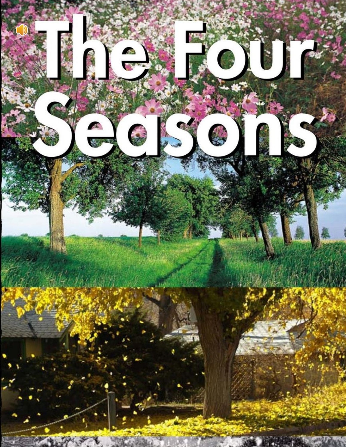 The Four Seasons